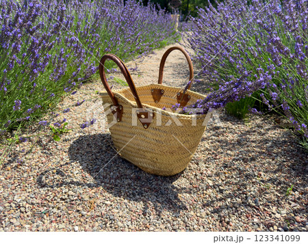 A Charming Basket Overflowing with Fresh Lavender Placed Gently Against a Beautifully Scenic Floral Pathway 123341099