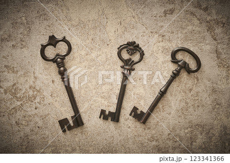 3種類あるアンティークな鍵 3種類あるアンティークな鍵 123341366