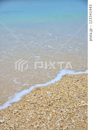 《沖縄県》沖縄の砂浜に打ち上げられたサンゴのかけら 123341443