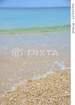 《沖縄県》沖縄の砂浜に打ち上げられたサンゴのかけら 《沖縄県》沖縄の砂浜に打ち上げられたサンゴのかけら 123341444