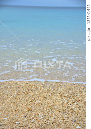 《沖縄県》沖縄の砂浜に打ち上げられたサンゴのかけら 《沖縄県》沖縄の砂浜に打ち上げられたサンゴのかけら 123341446
