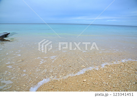 《沖縄県》沖縄の砂浜に打ち上げられたサンゴのかけら 123341451