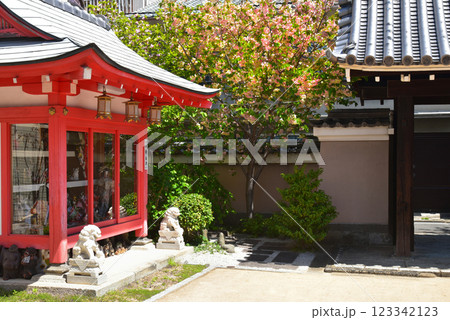人形供養 宗徳寺 粟嶋堂 人形供養 宗徳寺 粟嶋堂 123342123