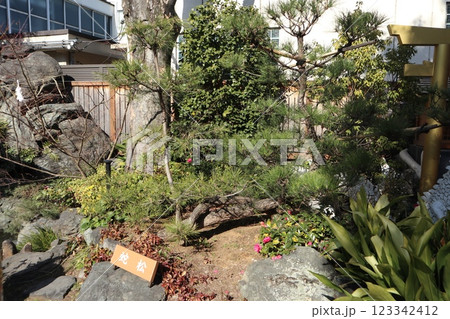 品川区　蛇窪神社 123342412