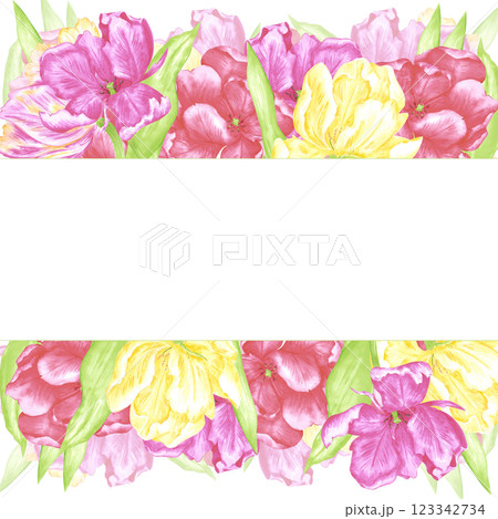 Hand drawn watercolor delicate tulips with green leaves frame border. Illustration of flowers isolated on white background. Can be used for postcard, invitation, scrapbook and other printed products. Hand drawn watercolor delicate tulips with green leaves frame border. Illustration of flowers isolated on white background. Can be used for postcard, invitation, scrapbook and other printed products. 123342734