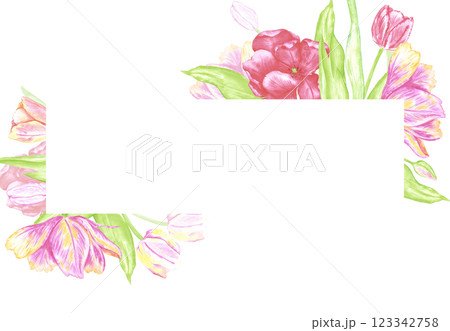 Hand drawn watercolor colorful tulips with green leaves frame border. Illustration of flowers isolated on white background. Can be used for postcard, invitation, scrapbook and other printed products. Hand drawn watercolor colorful tulips with green leaves frame border. Illustration of flowers isolated on white background. Can be used for postcard, invitation, scrapbook and other printed products. 123342758