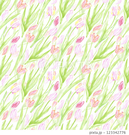 Hand drawn watercolor tulips with green leaves seamless pattern. Illustration of flowers isolated on white background. Can be used for textile, fabric, wrapping and other printed products. 123342776