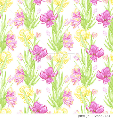 Hand drawn watercolor pink and yellow tulips with green leaves seamless pattern. Illustration isolated on white background. Can be used for textile, fabric, wrapping and other printed products. 123342783