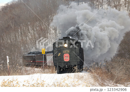 25周年を迎えたSL冬の湿原号 釧網本線 SL列車 蒸気機関車 C11 171 25周年を迎えたSL冬の湿原号 釧網本線 SL列車 蒸気機関車 C11 171 123342906