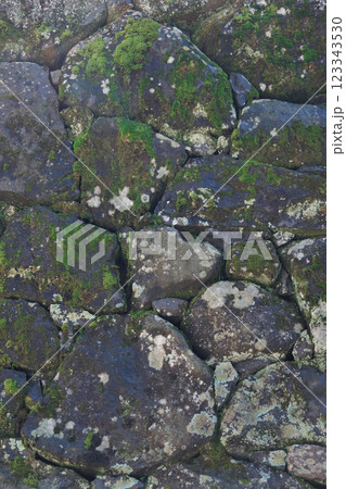 松江城のハートの石垣(松江市) 松江城のハートの石垣(松江市) 123343530