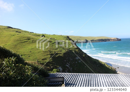 ニュージーランド ダニーデン オタゴ半島の海岸沿いの風景 ニュージーランド ダニーデン オタゴ半島の海岸沿いの風景 123344040