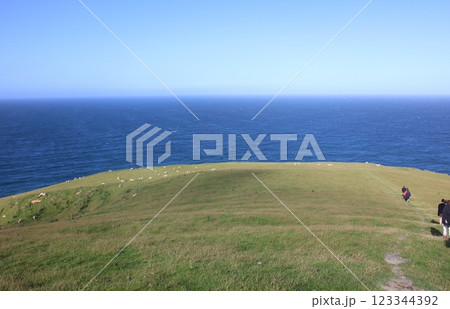 ニュージーランド ダニーデン オタゴ半島のパノラマ ニュージーランド ダニーデン オタゴ半島のパノラマ 123344392