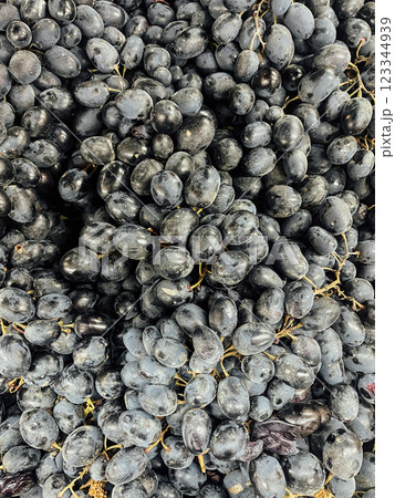 lots of ripe dark grapes for wine as background 123344939