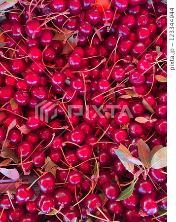 lots of ripe cherry berries for food as background 123344944