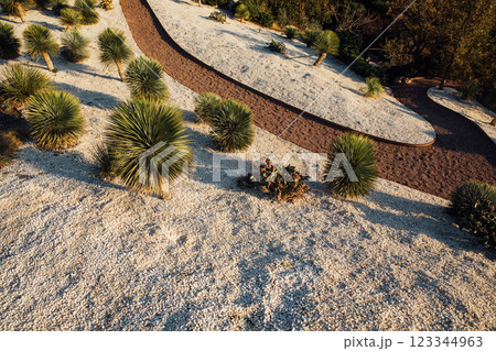 Interior path with white stones and palm trees 123344963