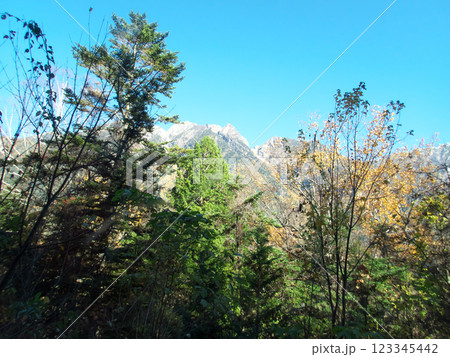 晴れた日の森の木々越しに見る山々 123345442