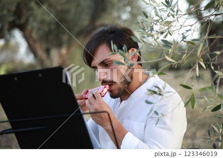 Boy Plays Music With Harmonica And Keyboard Among The Olive Trees Of Calabria Boy Plays Music With Harmonica And Keyboard Among The Olive Trees Of Calabria 123346019