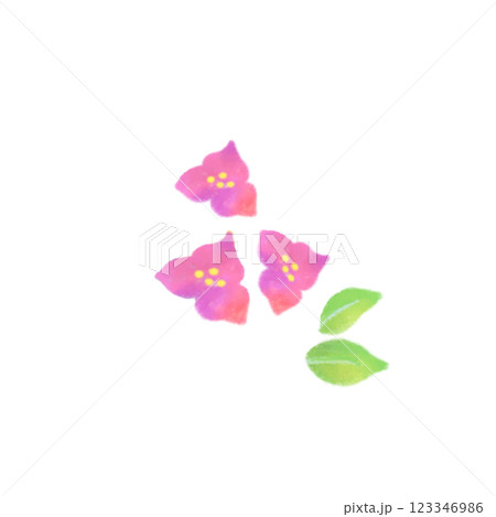 ブーゲンビリアの水彩風イラスト 123346986