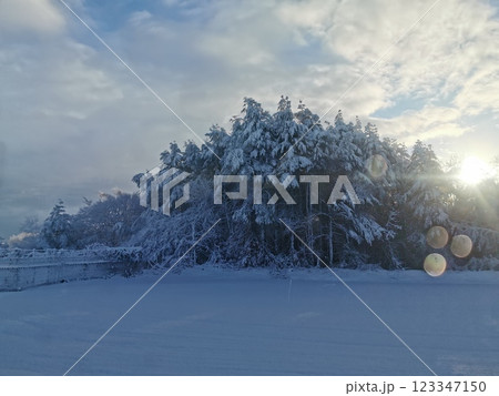 雪国の朝 雪国の朝 123347150