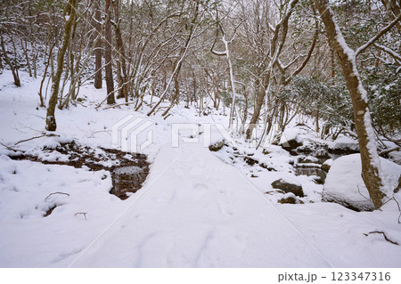 雪景色のるり渓 123347316