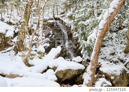 雪景色のるり渓 123347320