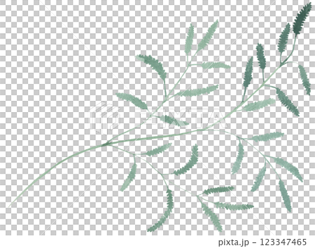 Watercolor twig with green leaves isolated illustration, botanical summer wedding element Watercolor twig with green leaves isolated illustration, botanical summer wedding element 123347465