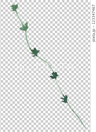 Watercolor twig with green leaves isolated illustration, botanical summer wedding element 123347467