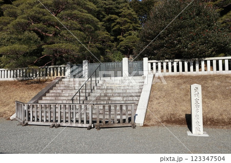 武蔵陵墓地 123347504