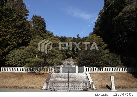 武蔵陵墓地 123347506