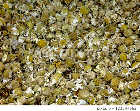 Camomile tea Camomile tea 123347662