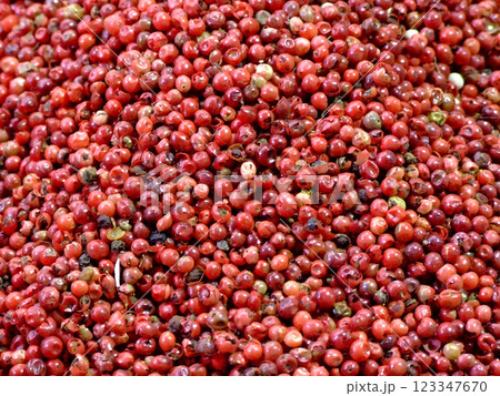 Red pepper 123347670