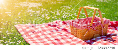 Checkered duvet lying on the fresh green grass and wicker picnic basket standing on it. 123347746