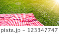 Checkered duvet lying on the fresh green grass in sunny day. 123347747
