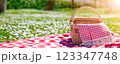 Checkered duvet lying on the fresh green grass and wicker picnic basket standing on it. 123347748