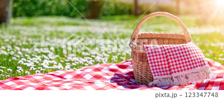 Checkered duvet lying on the fresh green grass and wicker picnic basket standing on it. 123347748