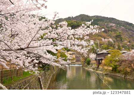 春の嵐山　京都　9 123347881