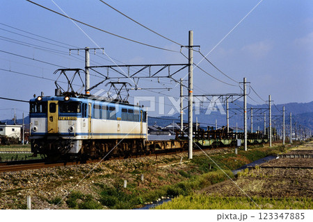 2006年　東海道本線を走るEF651010レール輸送列車 123347885