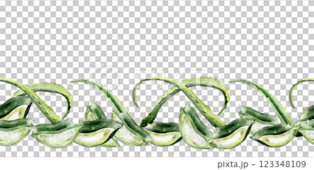 cut aloe vera seamless border cut aloe vera seamless border 123348109