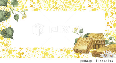 Organic food and ingredient banner template with watercolor honeycombs linden branches and daisy flowers illustrations. Field flowers chamomile with sweet honey on yellow splashes frame for packing Organic food and ingredient banner template with watercolor honeycombs linden branches and daisy flowers illustrations. Field flowers chamomile with sweet honey on yellow splashes frame for packing 123348143