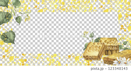 Organic food and ingredient banner template with watercolor honeycombs linden branches and daisy flowers illustrations. Field flowers chamomile with sweet honey on yellow splashes frame for packing 123348143