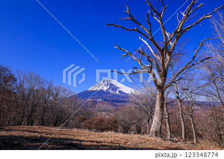 富士山 123348774