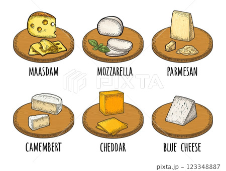 Cheese maasdam, mozzarella, cheddar, parmesan, camembert on wood board. Vector engraving 123348887
