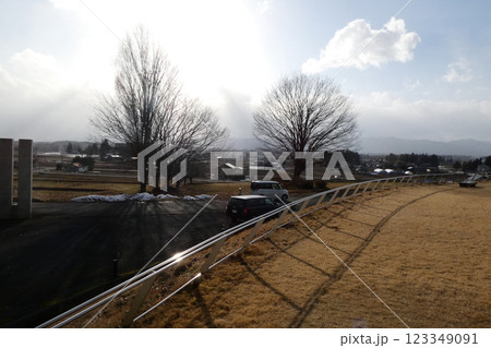 岩手県紫波町あらえびす野村胡堂記念館の前庭のケヤキのそびえる風景 123349091