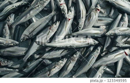 pile of freshly caught silver fish on ice at the market, texture of seafood background, freshness and the ocean's bounty creative backdrop 123349595
