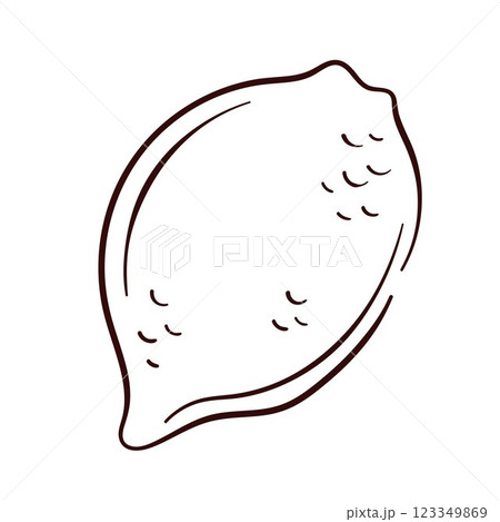 Whole lemon with textured peel in line art style. Hand drawn illustration for botanical design, food packaging and citrus themed project. Isolated on a white background. 123349869