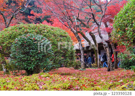 九年庵の紅葉 九年庵の紅葉 123350128