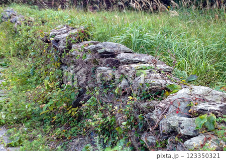 屋形島の石垣 屋形島の石垣 123350321