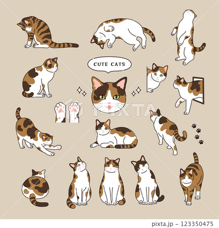 線のある三毛猫のイラスト 123350475