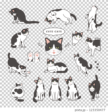 帶有線條的黑白貓插圖 帶有線條的黑白貓插圖 123350477