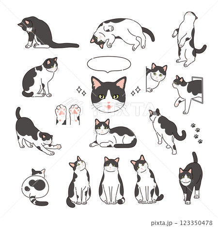 線のある白黒猫のイラスト 123350478